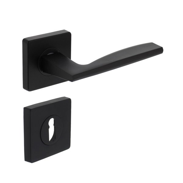Intersteel Türdrücker Apollo auf Rosette 55x55x10 mm mit BB-Rosetten Schwarz