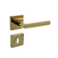 Intersteel Türdrücker Bastian auf Rosette...