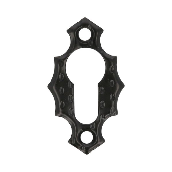 Schlüsselschild Türrosette Möbelrosette schmiedeeisernes Design Stahl Abdeckrosette Profilzylinder
