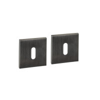 Intersteel Schlüsselrosetten verdeckt 53x53x6mm PVD...