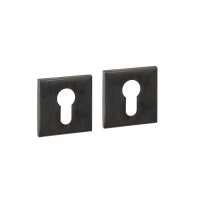 Intersteel Zylinderrosetten verdeckt 53x53x6mm PVD anthrazit